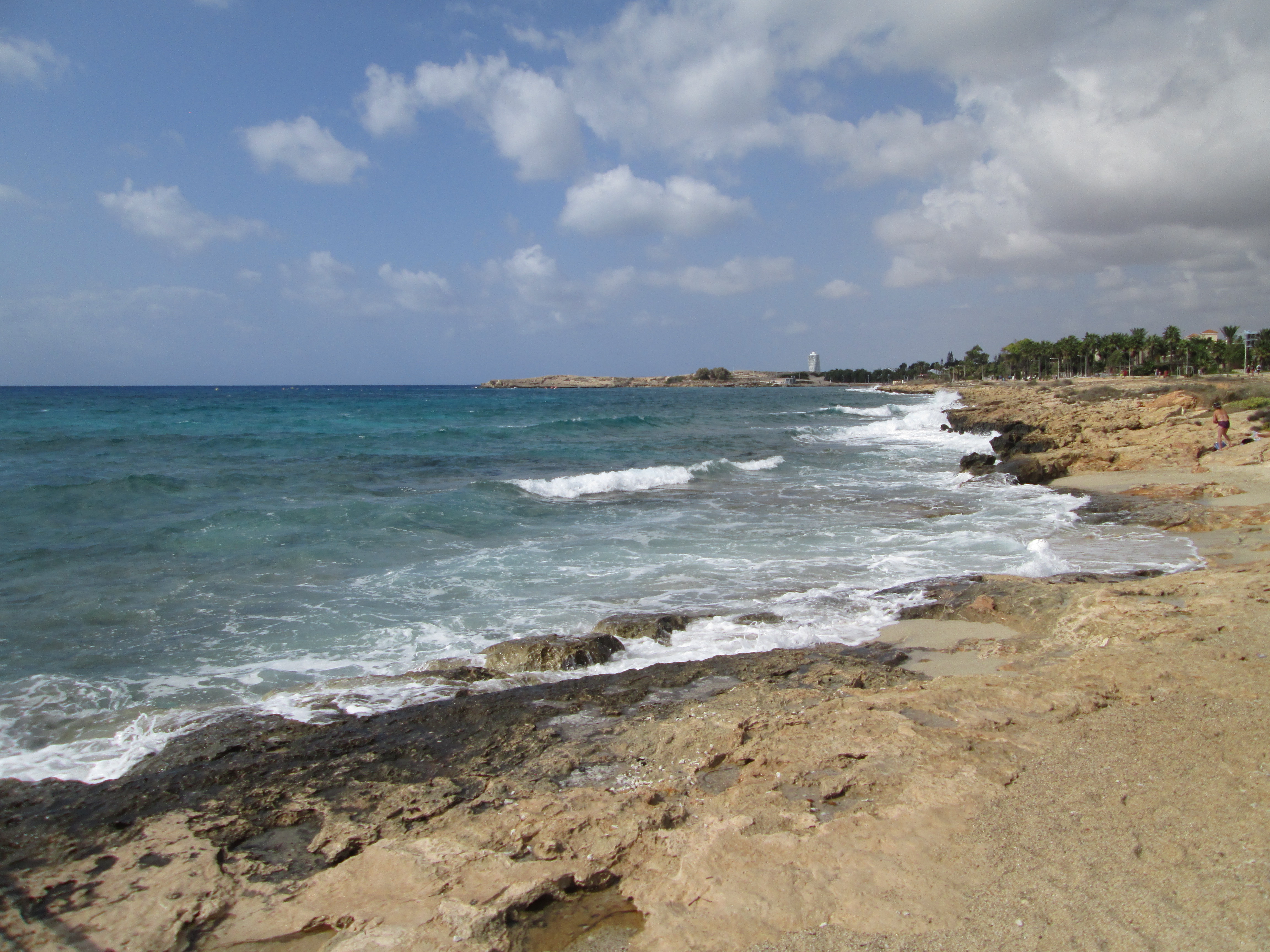 Dolphin Watching Tour